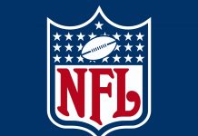 NFL Season Recap and a Look Toward Next Season