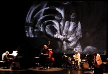 Impulse Festival: a Celebration of Diversity and Musical Improvisation